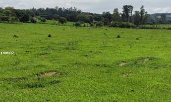 Imagem 4: Sítio de 1 Alqueire em Cesário Lange - SP