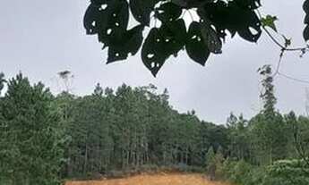 Imagem 3: Vendo terreno em Ibiúna