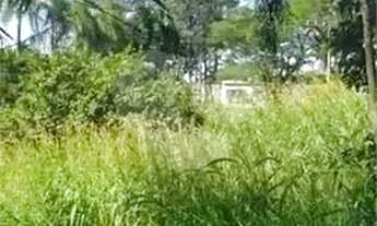 Imagem 5: Terreno 1.000 m²