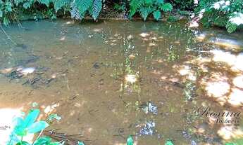 Imagem 14: Terreno à venda, 10000 m² por R$ 155.000,00 - Rio Sagrado - Morretes/PR