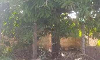 Imagem 2: Lote em esmeraldas