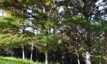 Imagem 3: Sítios á partir de 3.888 metros, com vista panorâmica e Sanga nos fundos