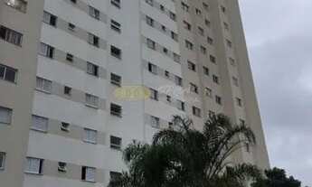 Imagem: Oportunidade urgente