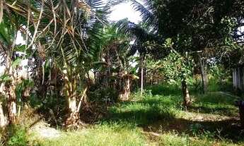 Imagem 6: Sítio sítio em engenho major pitanga 1 área 4