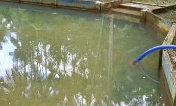 Imagem 7: Sítio Itaqui castanhal 4 km Br