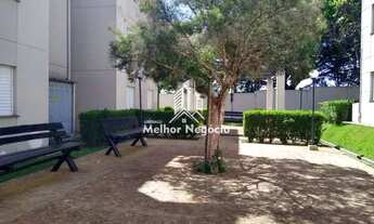 Imagem 6: Apartamento com 2 dorms, Jardim Santa Maria (Nova Veneza), Sumaré - R$ 160 mil, Cod: AP290