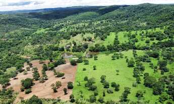 Imagem 3: Fazenda de 31 Alqueires em Hidrolândia Go!