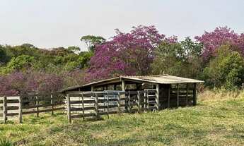 Imagem: Sítio em Cassias dos Coqueiros-SP
