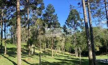 Imagem 4: Sítio à venda no bairro Bateias de Baixo - Campo Alegre/SC