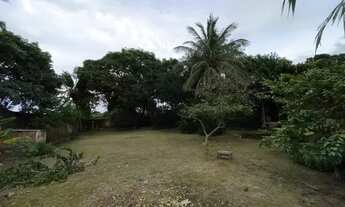 Imagem 3: Vendo sítio na (VILA SARNEY)