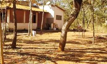 Imagem 3: Rancho na ilha do mangabal