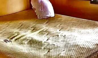 Imagem 6: Casa de praia em Arraial do Cabo ( Figueira