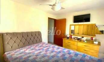 Imagem 3: São Paulo - Casa Padrão - Vila Santa Virginia