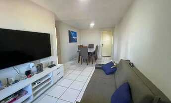 Imagem 4: Sun Family na Abel Cabral