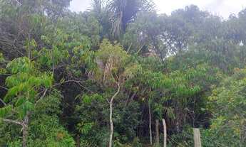 Imagem 4: Chácara de 20.000m² no Pipiripau 2 - Passa Rio nos Fundos