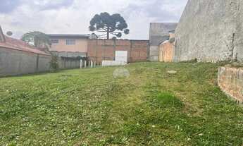 Imagem 5: Vendas Terreno Curitiba PR
