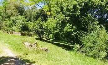 Imagem 3: Terreno Lomba da Palmeira Sapucaia do Sul