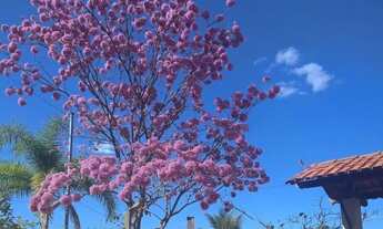 Imagem 6: Sitio 4.000m² com casa, todo cercado, córregos nos fundos, Jaboticatubas