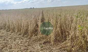 Imagem 4: Fazenda à venda, m² por R$ 105.000.000,00 - Zona Rural - Bonfim/RR