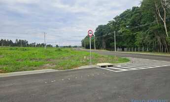 Imagem 4: TERRENO - Reserva Abaeté - SP
