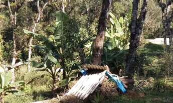 Imagem 7: Vendo chácara na Br 277 em sjp