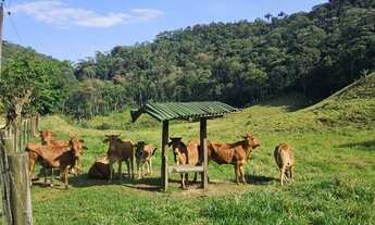 Imagem 3: Sítios a venda em Piraí RJ R$250.000