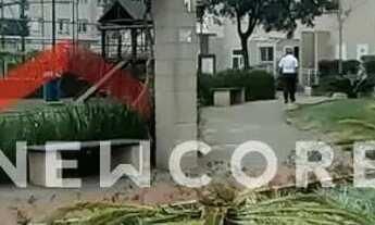 Imagem 3: Apartamento em Avenida Guarulhos - Vila Augusta - Guarulhos/SP