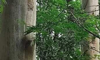 Imagem 7: Chácara, hotel, pousada,agro industria,seu sonho de moradia