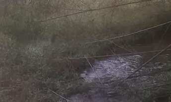 Imagem 6: Chacaras rurais em azurita