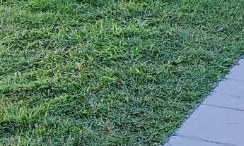 Imagem 2: Quarto para rapaz