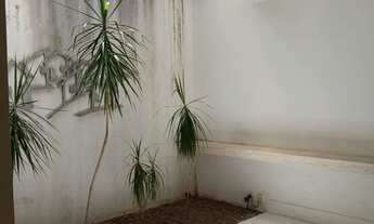 Imagem 2: Alugo casa Pitanguinha