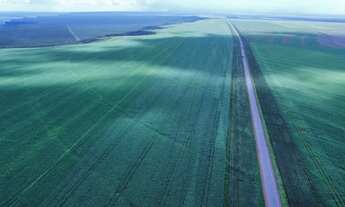 Imagem 6: Fazenda 5.700 alq em deciolandia x Diamantino MT. 3.680 plantando