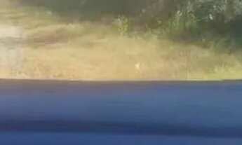 Imagem: Lote no conjunto Brasilar 66x88