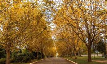 Imagem: Terreno à venda, 1000 m² por R$ 2.500.000,00