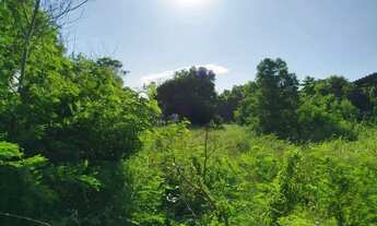 Imagem 5: Excelente terreno, pertinho da praia