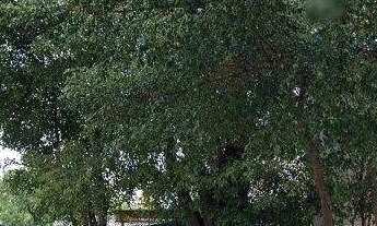 Imagem: Terreno à venda ou aluguel na Santa Cecília