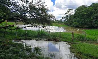 Imagem 2: Chácara à Venda Bairro Campo Novo