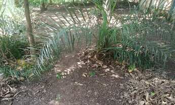 Imagem 2: 03) Terrenos (Proximo da Fabrica da Coca Cola em Varzea Grande-MT