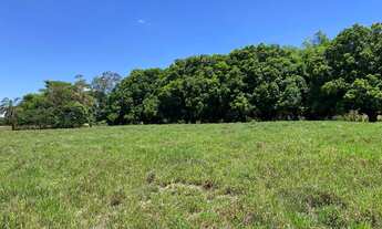 Imagem 4: Chácaras de 2mil mt em o trindade próxima do povoado de Santa Maria!