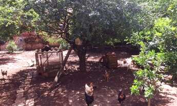 Imagem 6: Chácara em Rua Amancia Maria Carriel - Portal das Nogueiras - Tatuí/SP