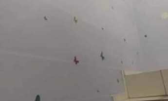 Imagem 3: ALUGUEL DE CASA DE FUNDOS (QNL 13), 02 QUARTOS, 02 BANHEIROS, 02 VAGAS DE GARAGEM