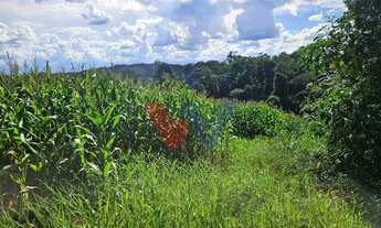 Imagem: Área de 36.400m para chácara com bosque