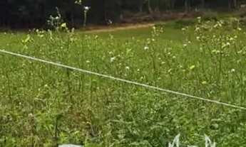 Imagem 7: Casa de condomínio para venda tem 500 metros quadrados