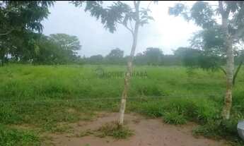 Imagem 2: Chácara de 7,5 hectares na região da cidade de Poconé MT