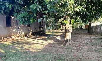 Imagem 5: Vende - se esta chácara