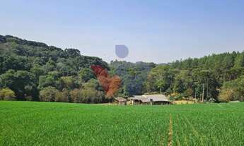 Imagem 4: Área de 20.000 m para Chácara Próxima a Araucária Ótima Oportunidade