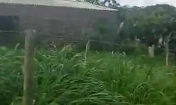 Imagem 3: Lote 360m² no Jardim Tarumã - Energia Elétrica - Bairro em Crescimento!