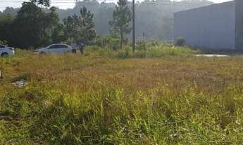 Imagem 4: Terreno em Aririu