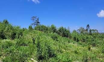 Imagem 2: Terreno em perímetro urbano - São Bento do Sul SC - 40.000 m²