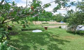 Imagem 3: VENDO CHACARA URBANA NO CENTRO DE MORRINHOS RICA EM ÁGUA QUASE 5 MIL METROS ESCRITURADA